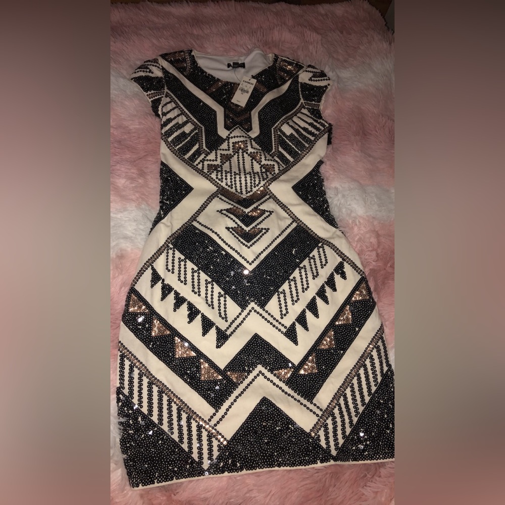 Express Sequin Dress. Never worn, tags attached.